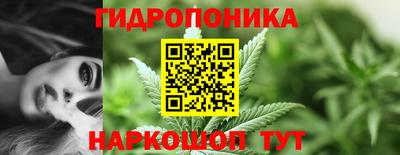 дмт Волжск
