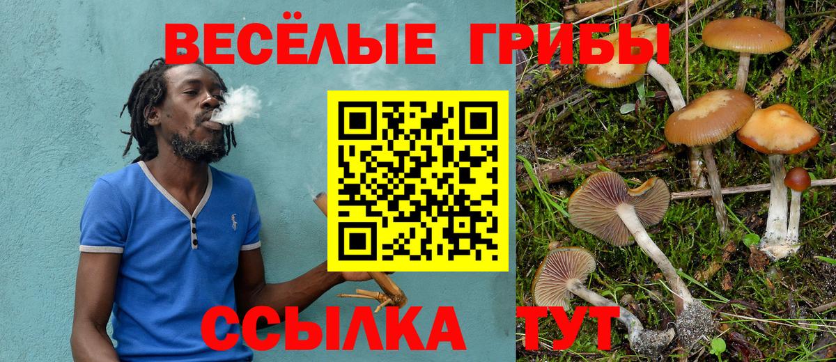 Псилоцибиновые грибы прущие грибы  Вход с VPN  Псилоцибиновые грибы GOLDEN TEACHER  Тимашёвск 